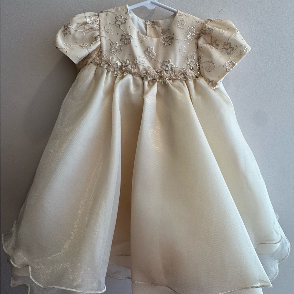 Rare Editions champagne embroidered tulle dress